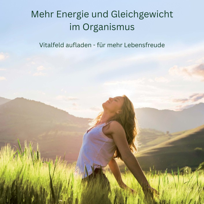 Freiheit im Feld vor den Bergen