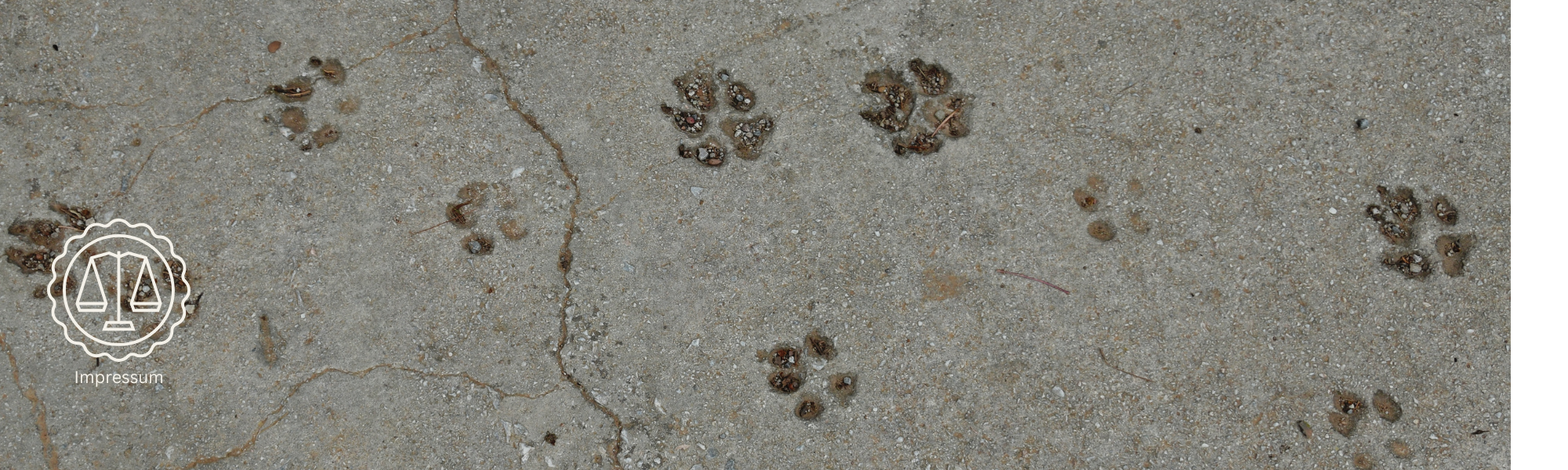 Spuren im Sand, Impressum